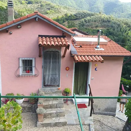 Ca' Bianca 2017 * Ceriana