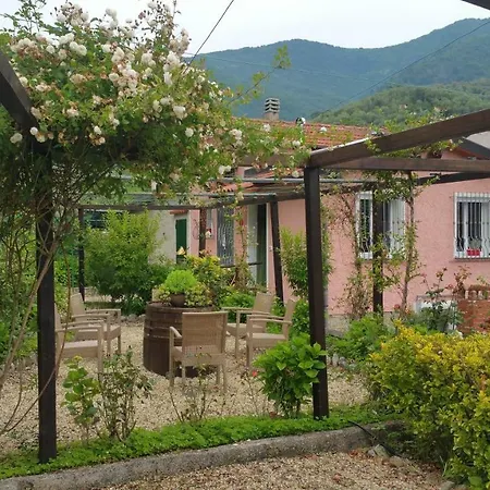 Ca' Bianca 2017